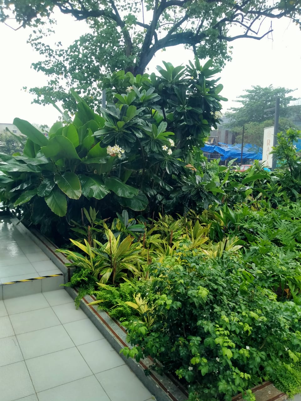 Premium landscape and garden development at Roswalt Raya residential project